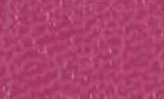 580 フェニックス