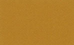 268 テフツイル（Tef twill）